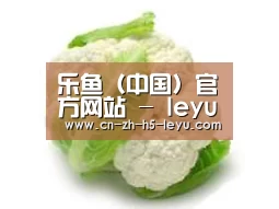 产品名称九