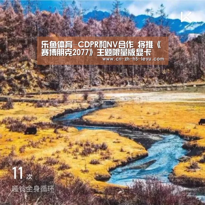 乐鱼体育-CDPR和NV合作 将推《赛博朋克2077》主题限量版显卡(图1) 乐鱼