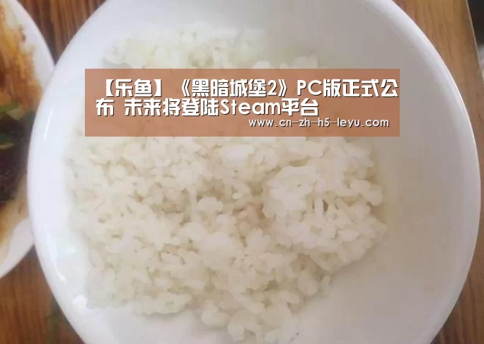 【乐鱼】《黑暗城堡2》PC版正式公布 未来将登陆Steam平台(图3)
