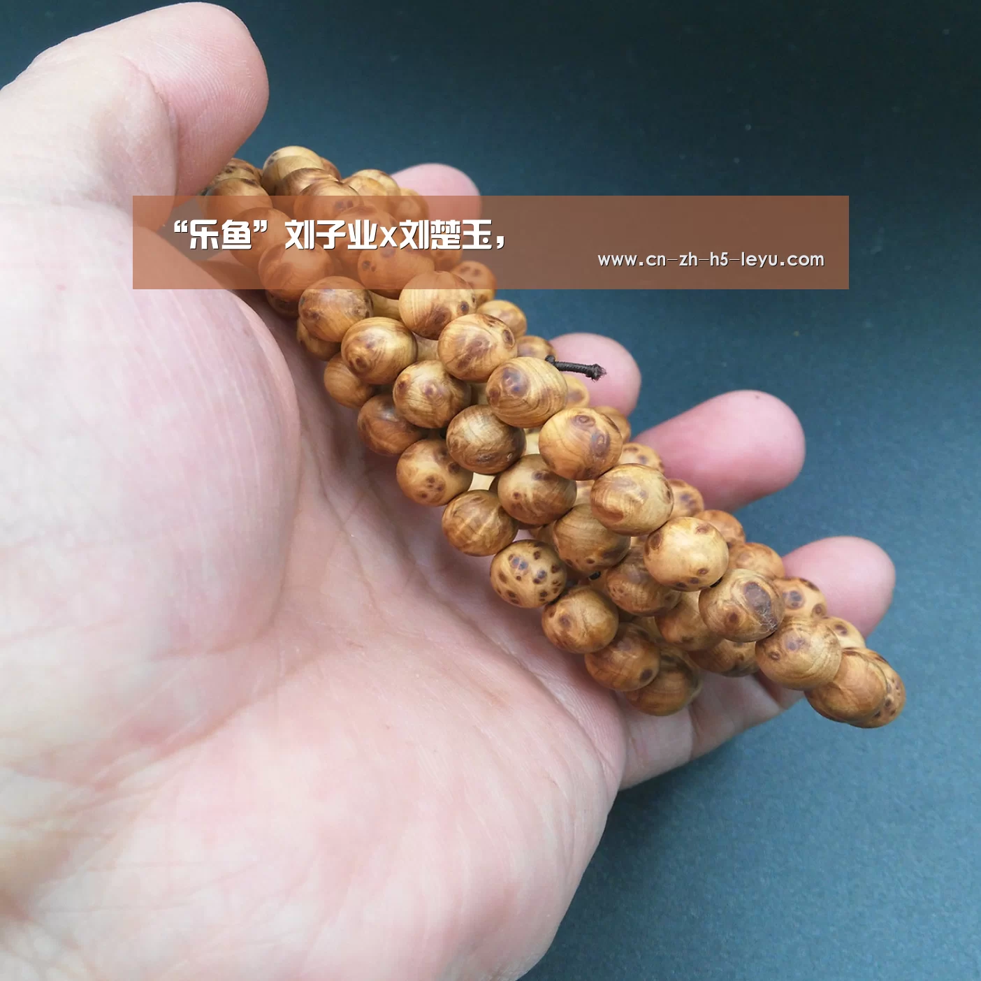 乐鱼