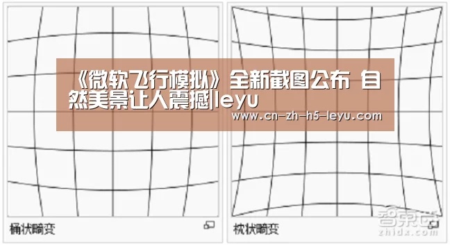 乐鱼
