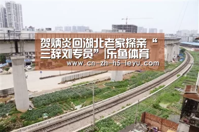 贺炳炎回湖北老家探亲“三辞刘专员”|乐鱼体育(图2) 乐鱼