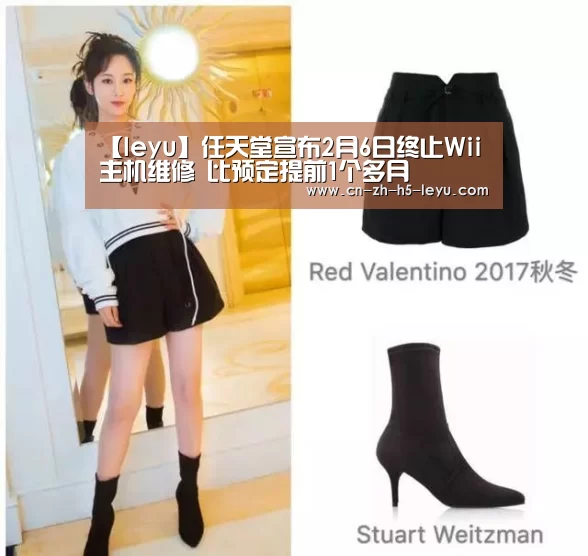 【leyu】任天堂宣布2月6日终止Wii主机维修 比预定提前1个多月(图2) 乐鱼